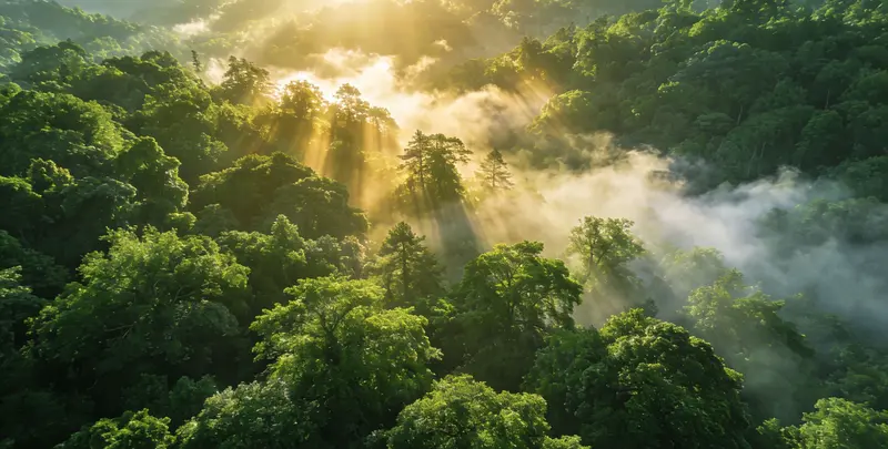 临夏肺癌172基因检测图片1