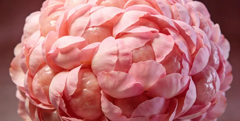 临夏BRCA1/2乳腺癌卵巢癌基因检测图片1